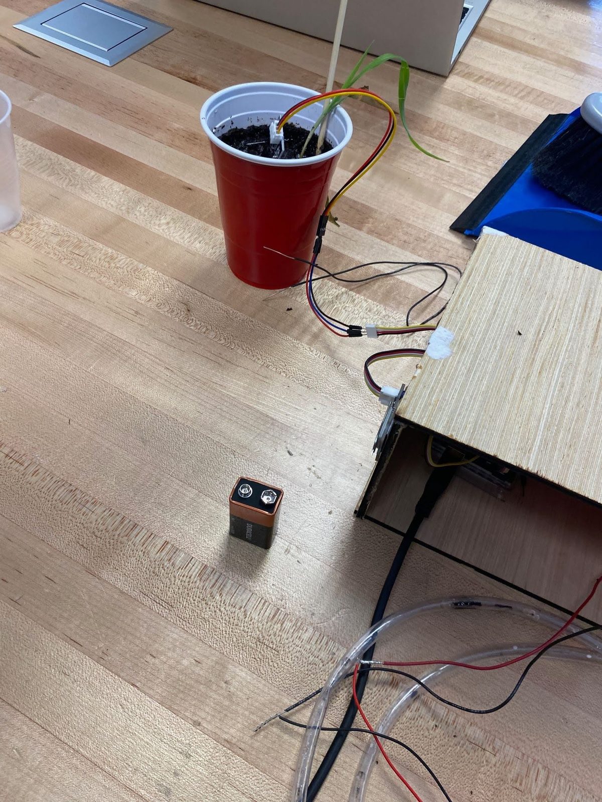 Early test setup with a seedling in a cup wired to a sensor, with a 9V battery on the floor nearby