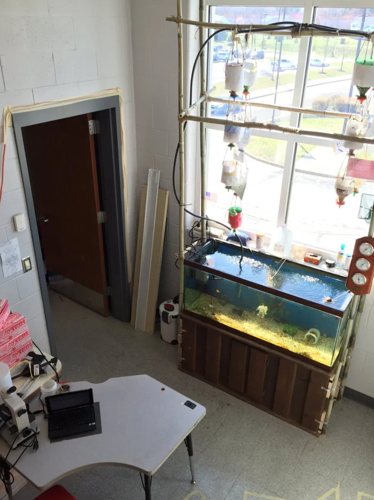 Full classroom view of the bamboo aquaponics tower beside the door, with a gauge panel and grow lights over the tank