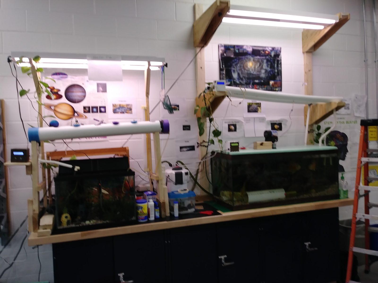 Two classroom fish tanks on a wooden shelf unit, decorated with student space-themed posters and grow lights