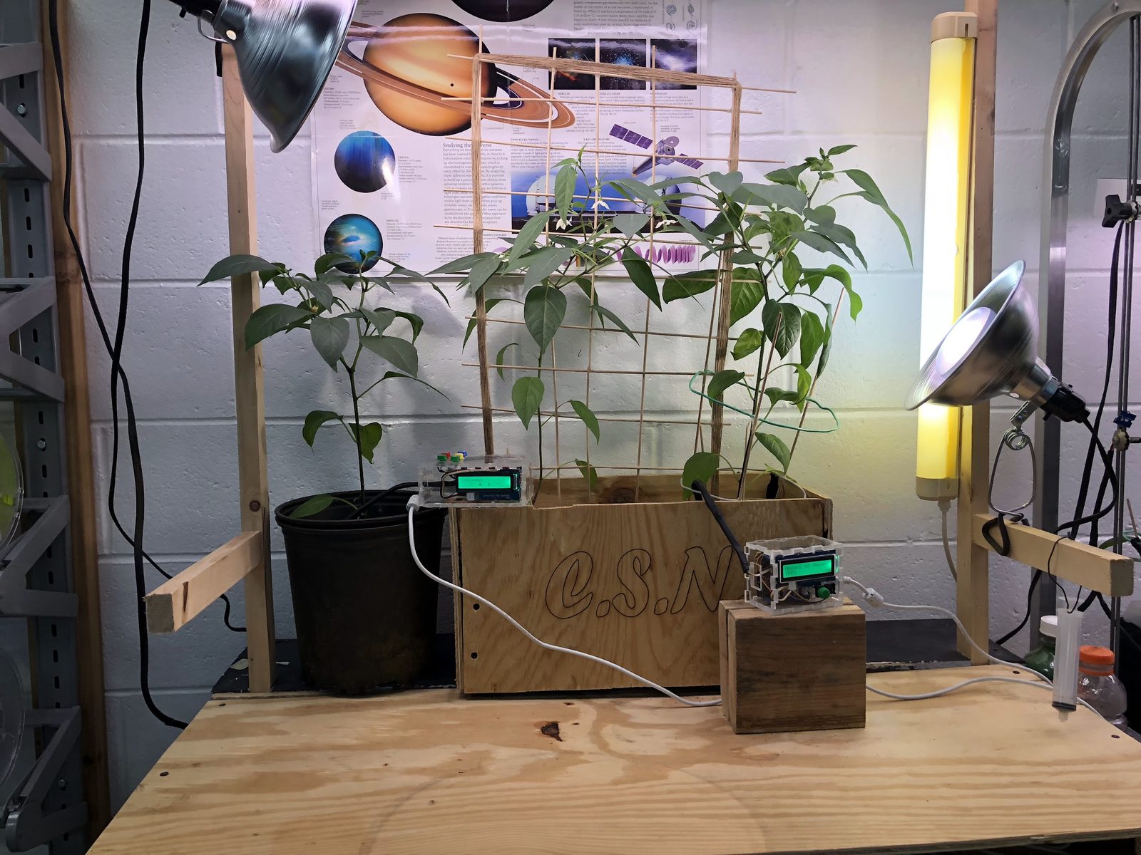 Automated soil monitor with an LCD readout wired into a planter box of pepper plants on a trellis