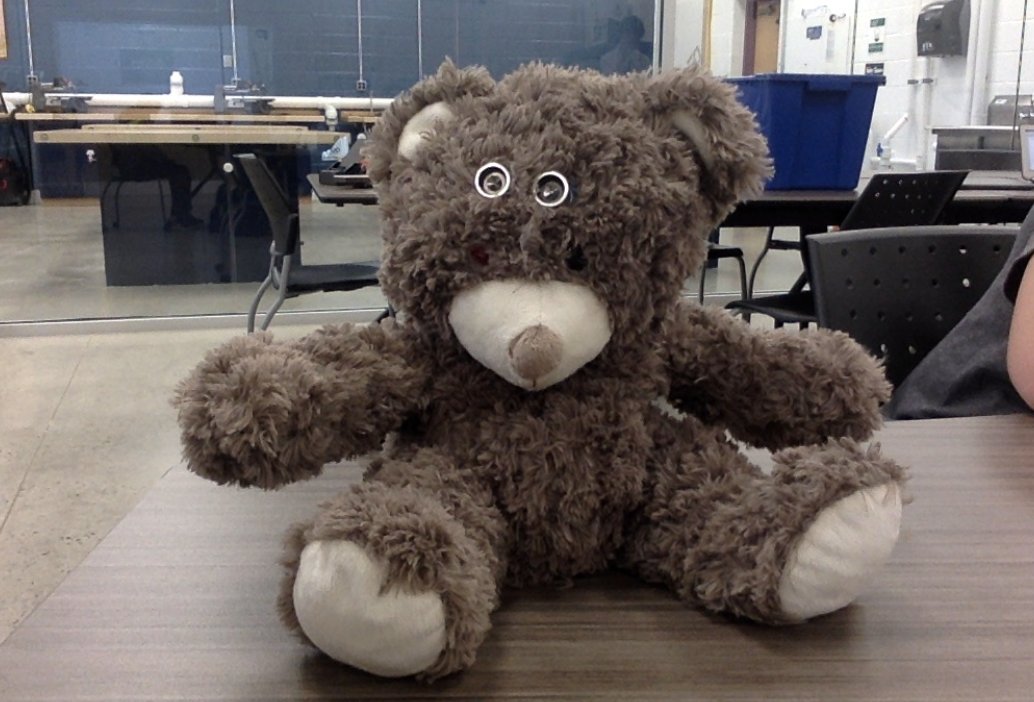 Teddy bear animatronic with sensor rings mounted in place of its eyes