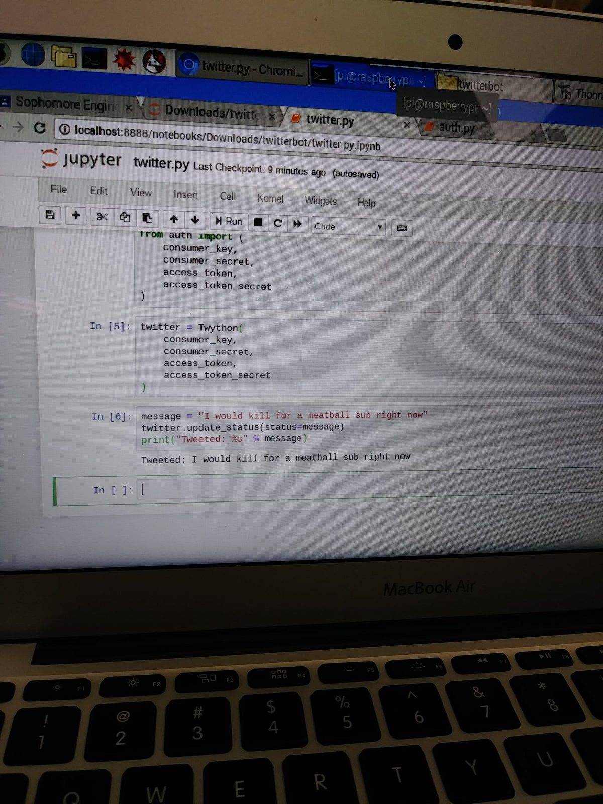 Jupyter notebook code connecting to the Twitter API via the Twython library, running headless on a Raspberry Pi