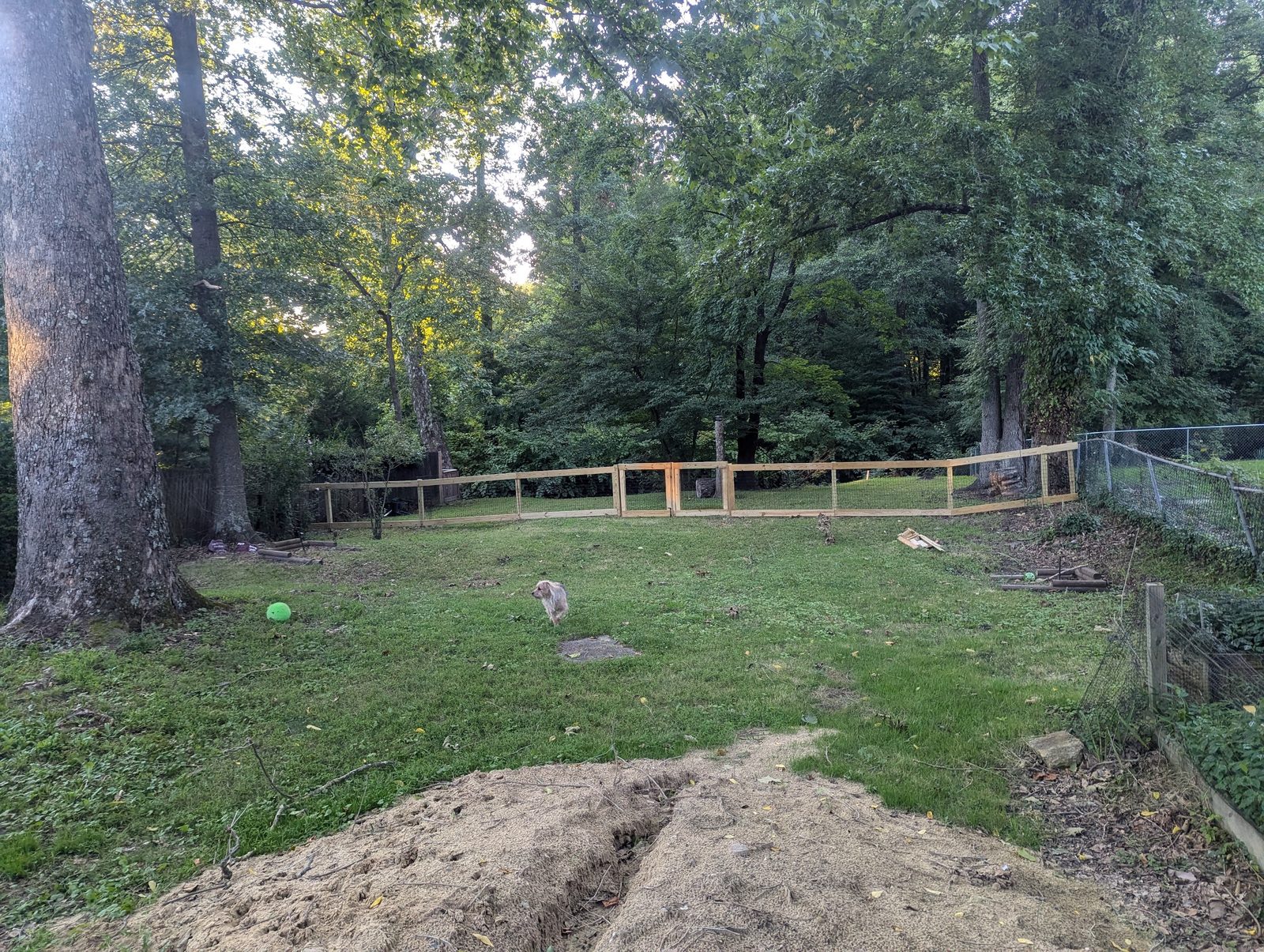 Backyard fence line with a dirt mound from post digging