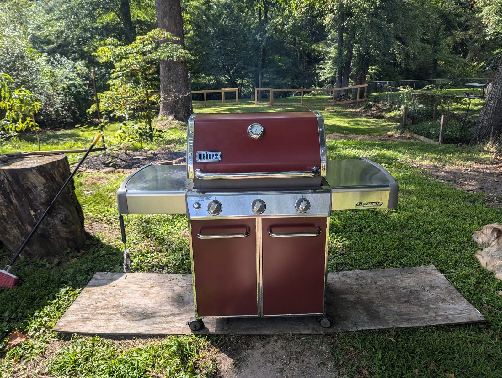 Red gas grill set up on the back patio