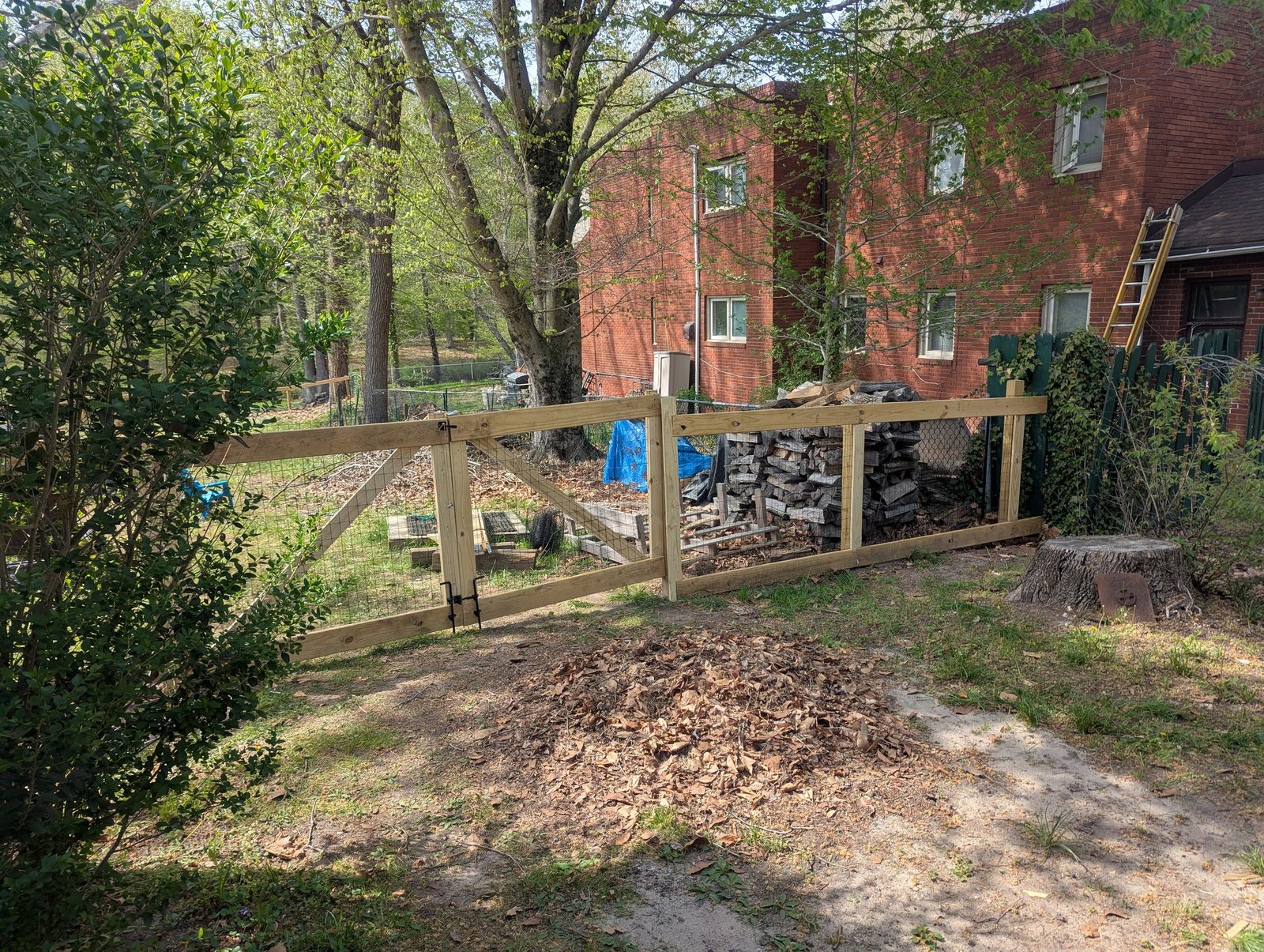 Wood fence and brush pile along the property line