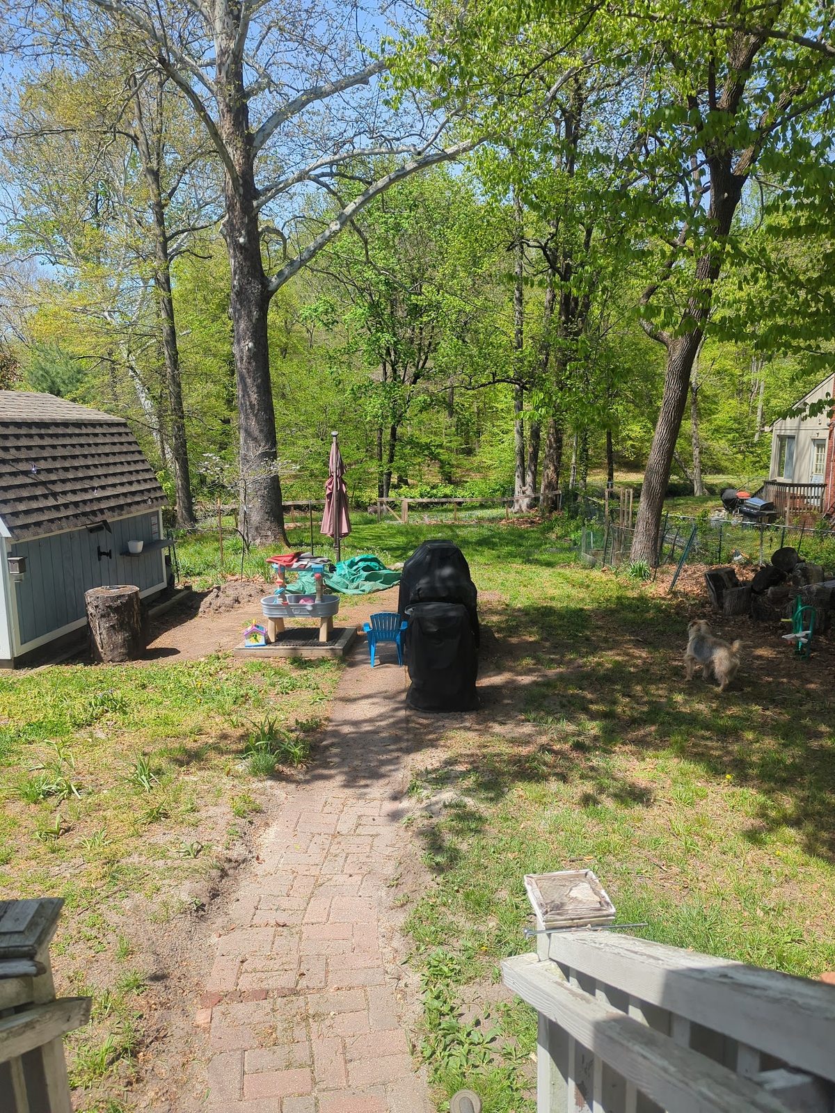 Brick path through the backyard leading toward the shed