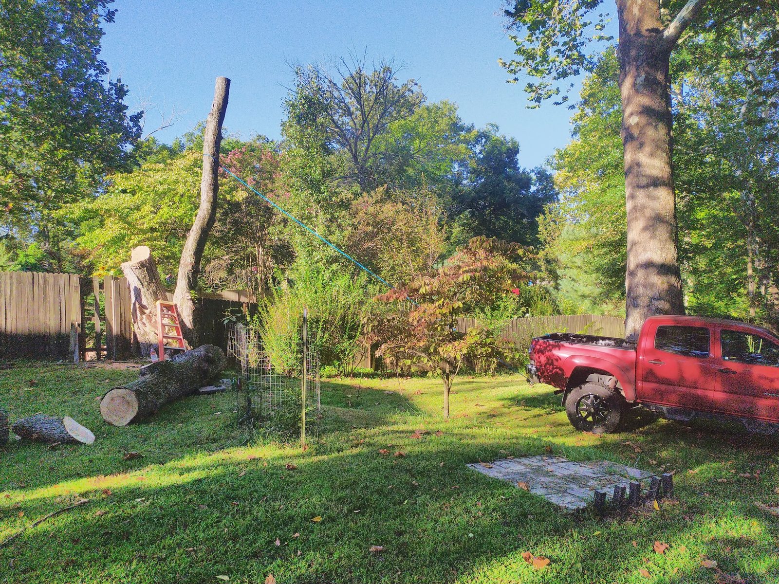 Freshly cut tree stump with the truck parked in the sunny backyard
