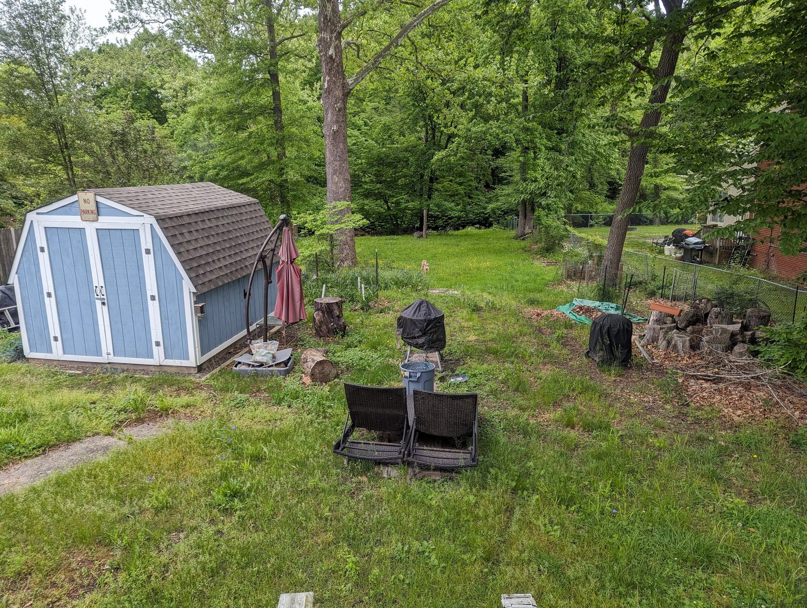 New shed and open lawn area in the backyard