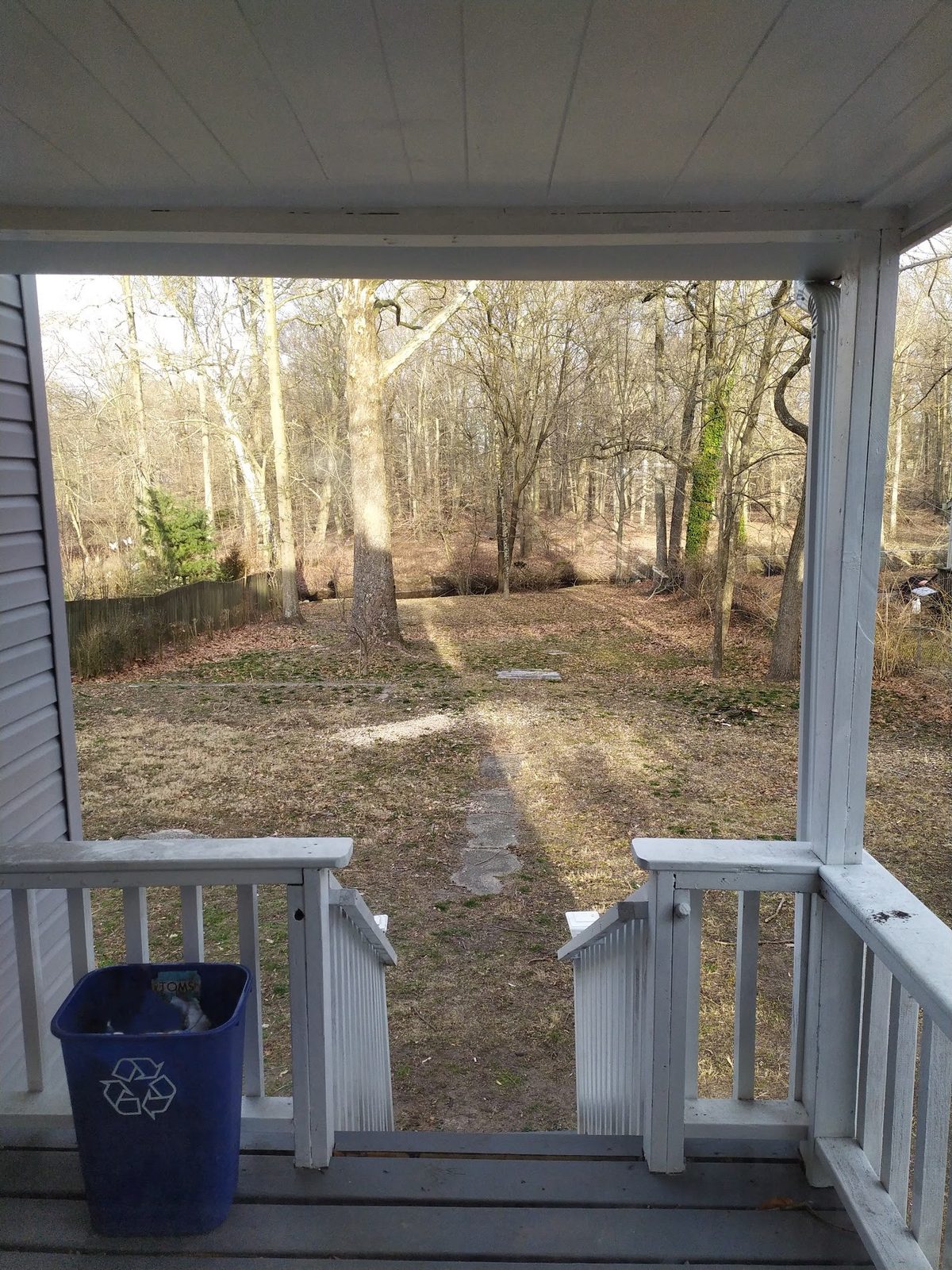Early winter view from the back porch looking out over the bare backyard, before the landscaping work began