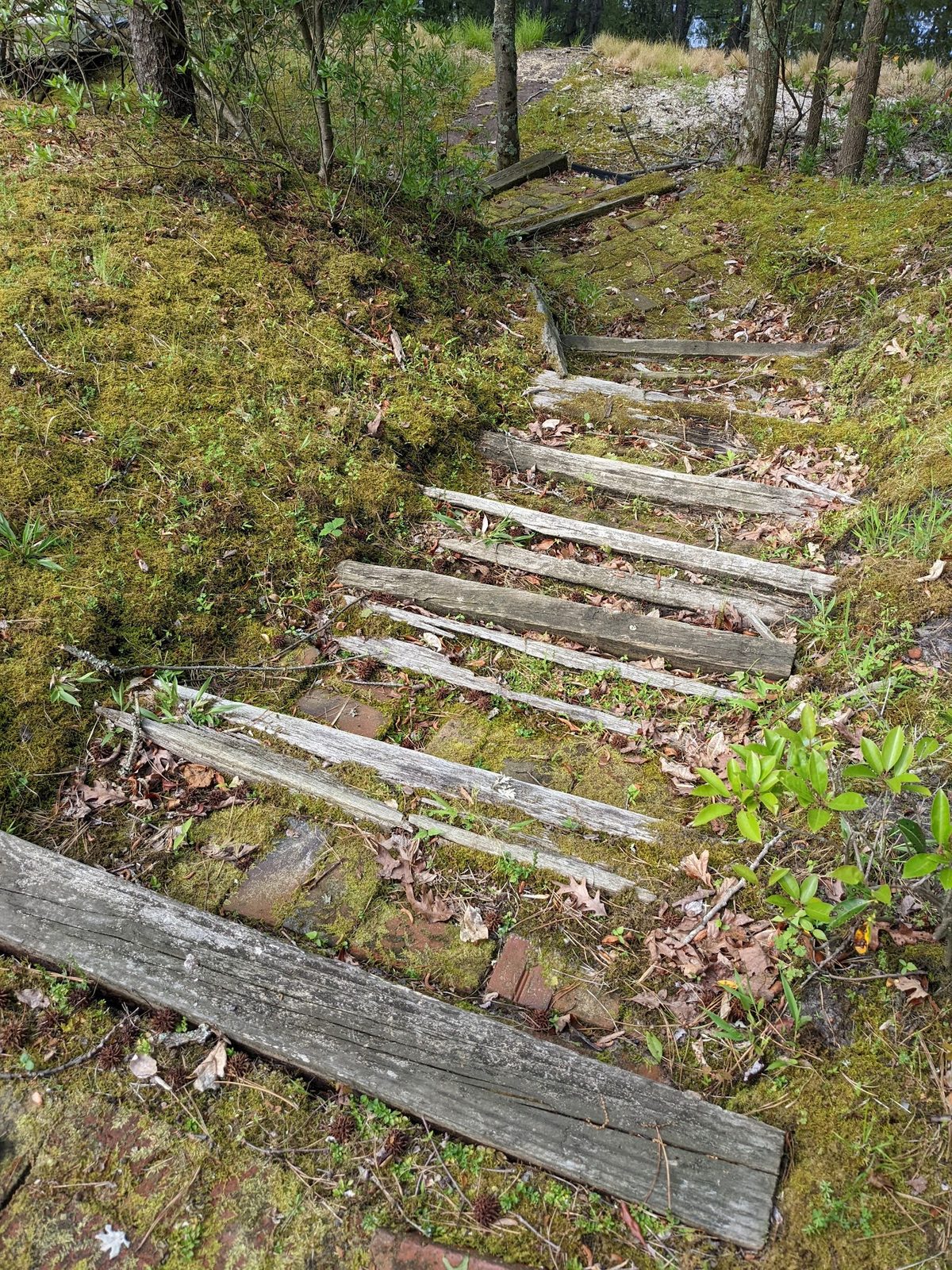 Old wooden steps down the slope, another angle showing the wear