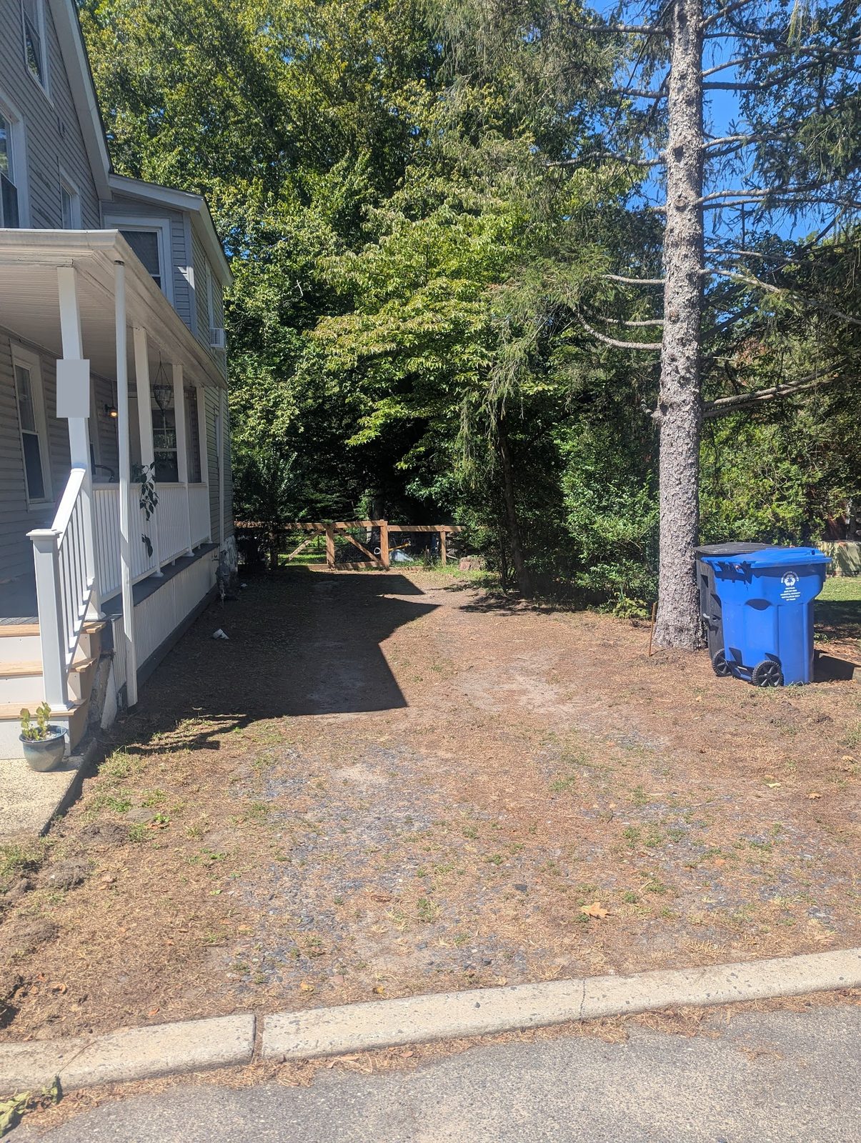 Bare dirt and grass strip along the driveway before regrading