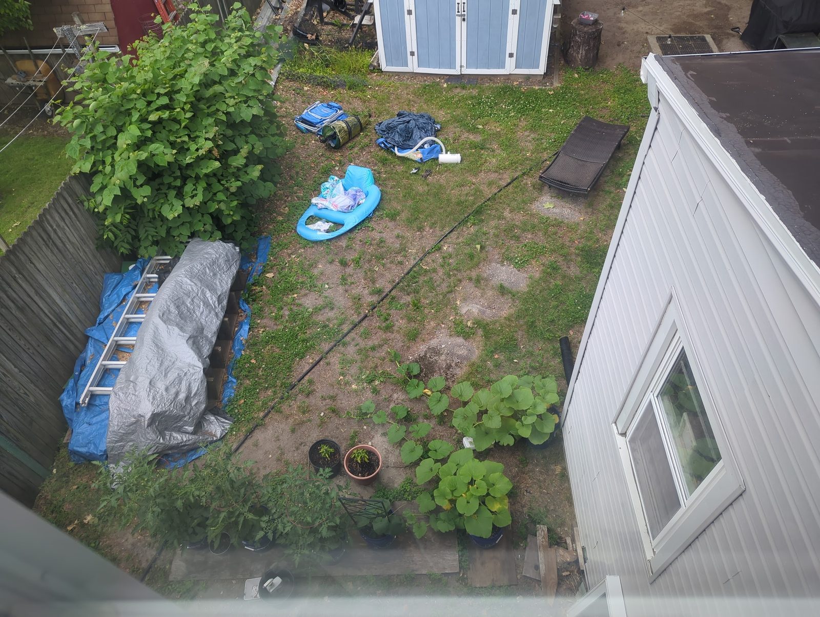 View down onto the backyard shed and garden beds