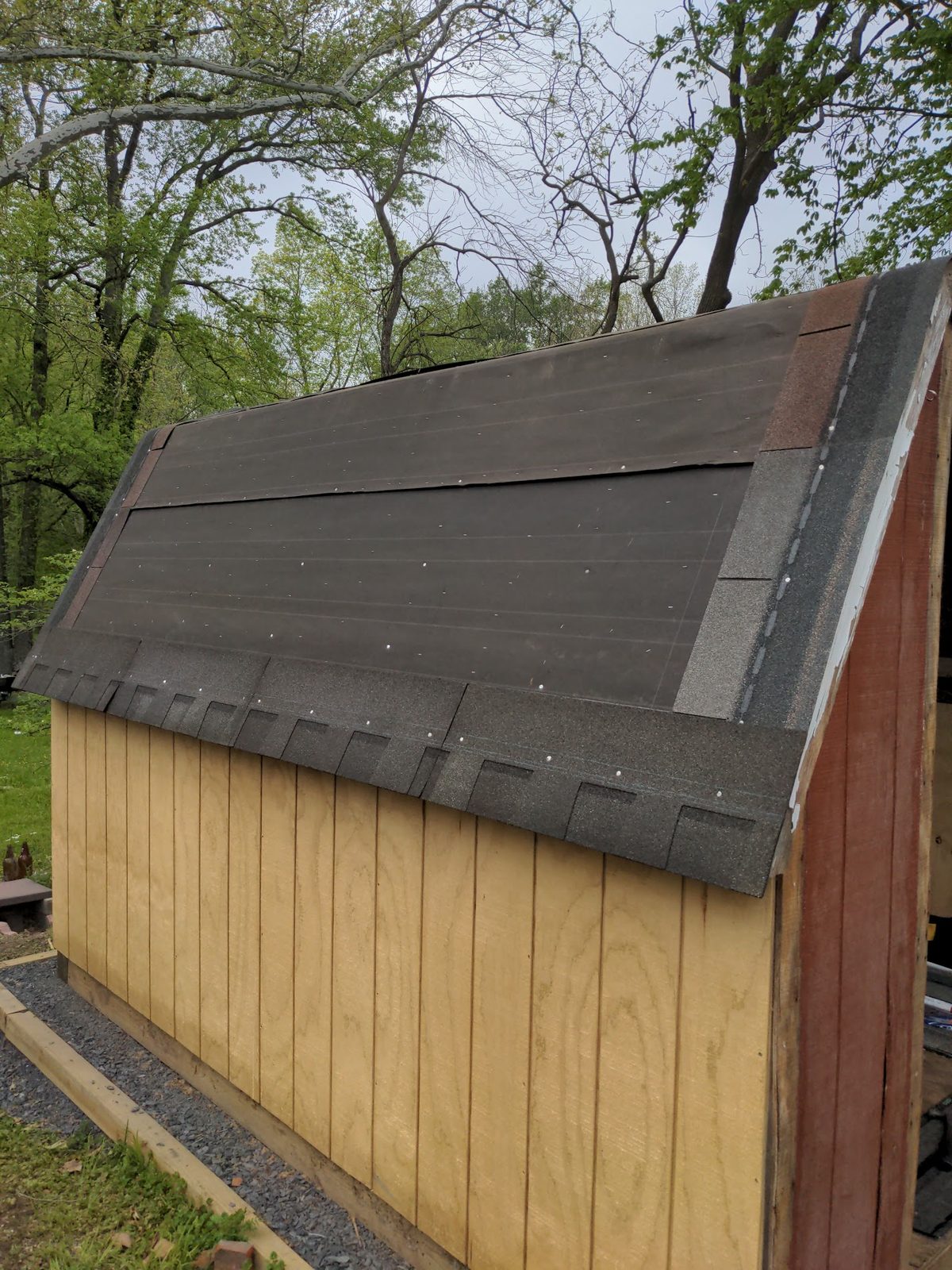 Shed with a fully shingled roof, walls still bare plywood